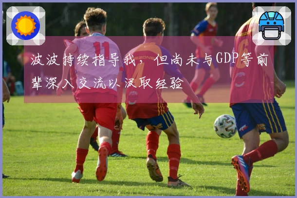 波波持续指导我，但尚未与GDP等前辈深入交流以汲取经验