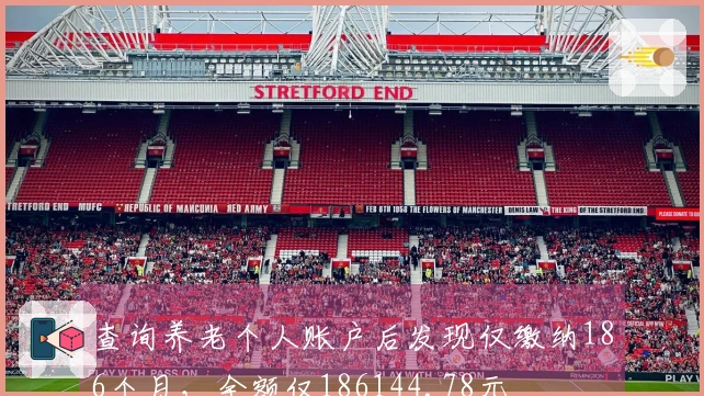 查询养老个人账户后发现仅缴纳186个月，余额仅186144.78元